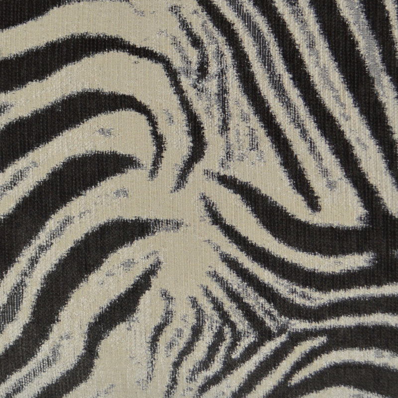 Zebrana Fabric, Charcoal