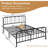 Metal Open-Frame Bed-154855129