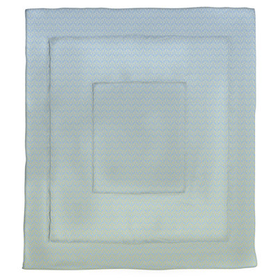 Katelyn Elizabeth Polyester Toile Comforter