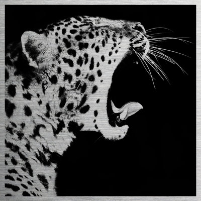 Cheetah - No Frame Print on Metal