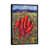 Black Framed Canvas