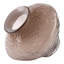 Vase Contemporary-1871289121