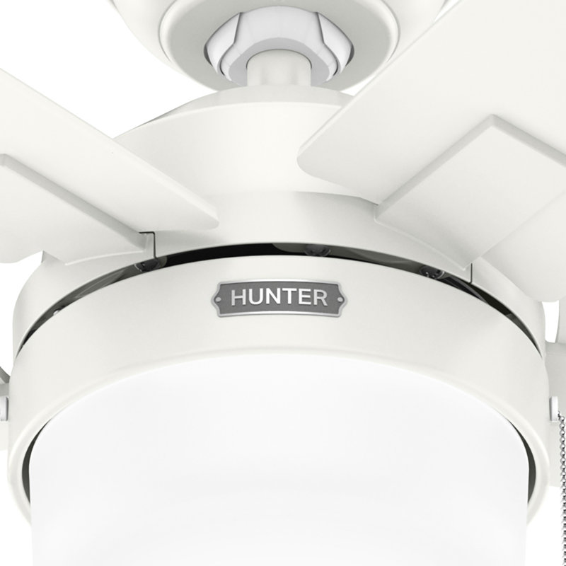 44" Anisten ENERGY STAR® 5-Blade Standard Ceiling Fan with Pull Chain and LED Light Kit Included, 4.14" H x 52" W x 52" D