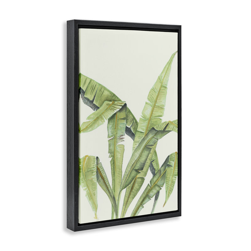 Cadre flottant Anse Latium, verdure tropicale, design par Errico & Slyp, H 31 po x l 21 po, Cadre flottant noir de jais