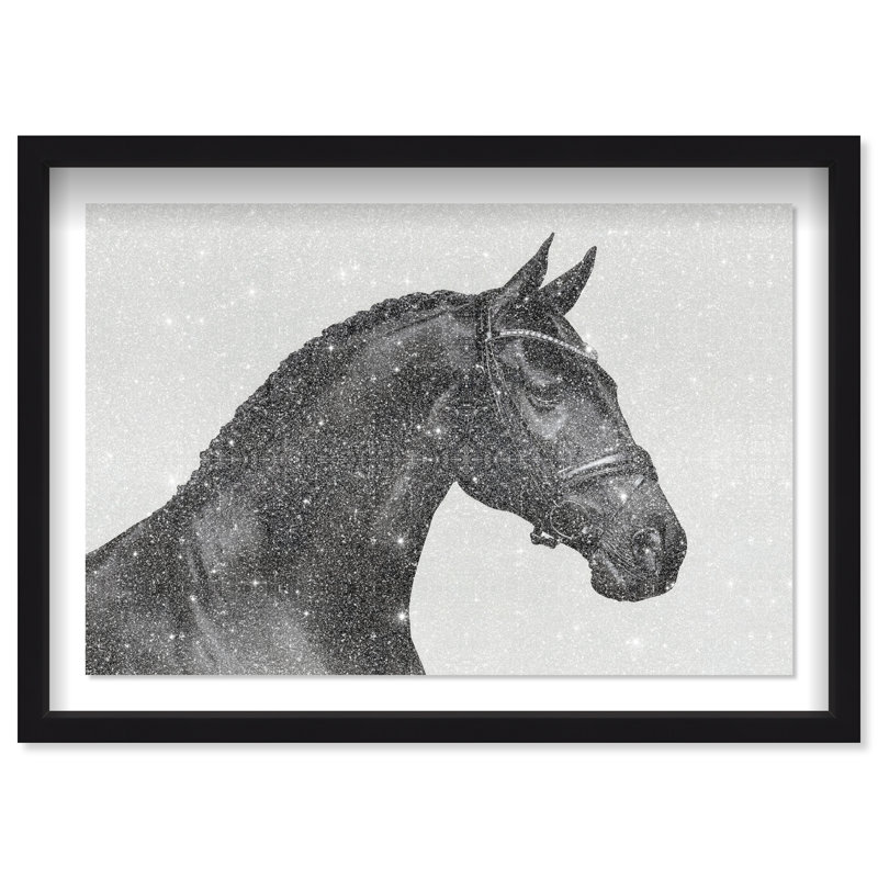 Midnight Majesty I Shadowbox Animals Print by Oliver Gal, Black Frame, 15 x 10, 37.5"H x 25.5"W, Black Shadowbox
