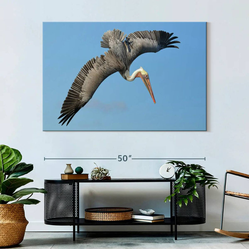 Crowle Pelican In The Air