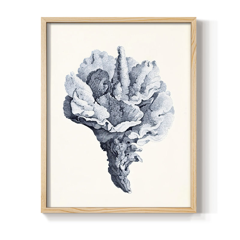 Bleu antique Coral III, reproduction encadrée - bois massif, H 21 po x l 17 po