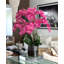 Blooming Orchid in Vase-931651913
