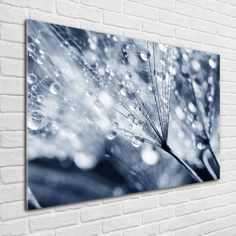 Glass Print Wall Art 100X70cm Image Printed On Glass Decorative Wall Picture Behind Toughened / Tempered Safety Real Glass For Kitchen & Living Room Theme:Dandelion Seeds