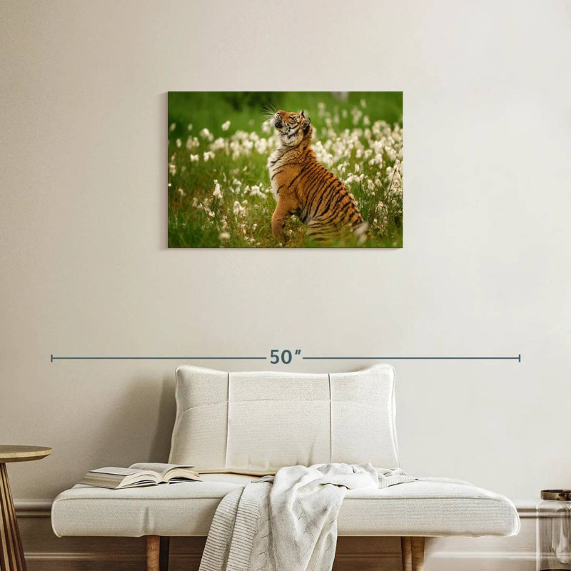 Brampt Tiger Cub, 20" H x 30" W