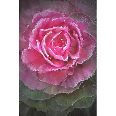 Beautiful Flowering Cabbages - Wrapped Canvas Painting