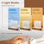 Landgrove Engineered Wood Wall Mirror