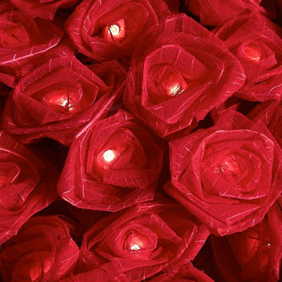 Dov LED Natural Leaf Rose String Light