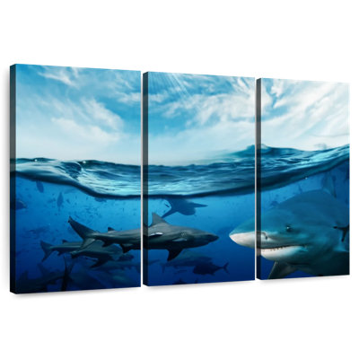 Brampt Shiver Of Sharks Sunshine