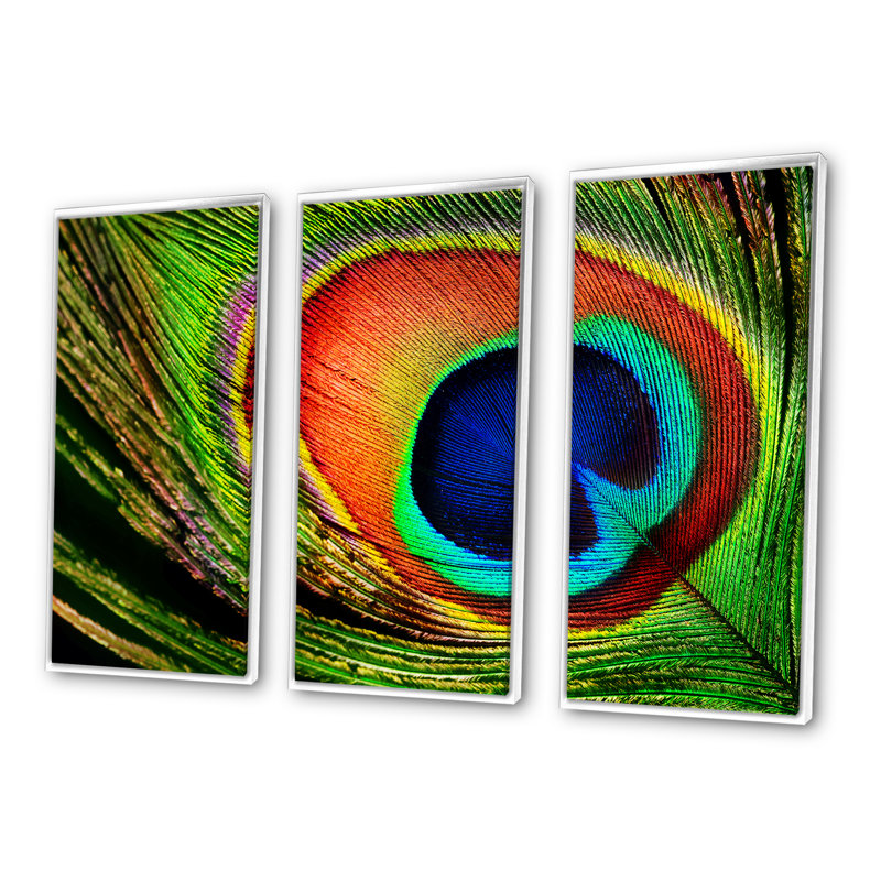Peacock Feather - 3 pièces, cadre flottant, impression sur toile, Cadre blanc, H 32 po x l 48 po x P 1 po