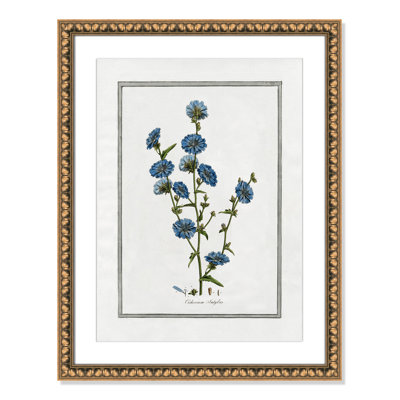 Colombe "Soft Botanical I" Print