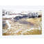 « english gold ix », reproduction d’impression sur toile-29040335-72795571-72795564