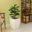 Jaymalin Glass Cachepot-882659109