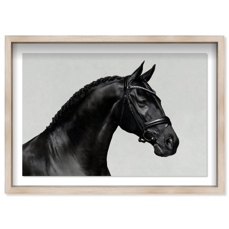 Midnight Majesty I Print by Oliver Gal, 16.5"H x 11.5"W, Natural Oak Shadowbox