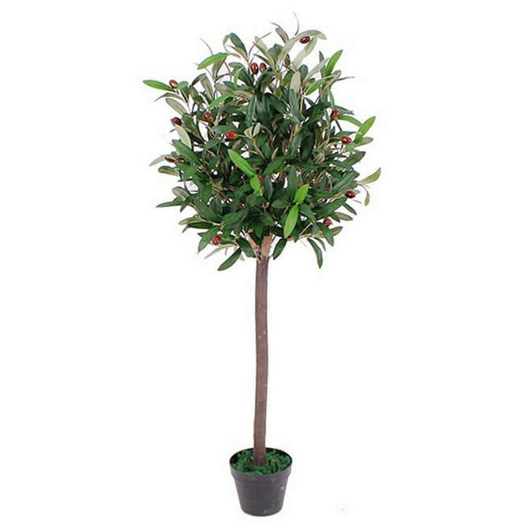 Realistic Artificial Olive Tree Real Wood Trunk. - Image 6