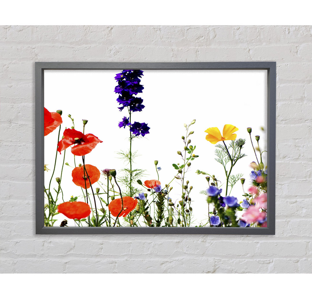 Wild Flower Garden In Bloom - Single Picture Frame Kunstdrucke auf Leinwand