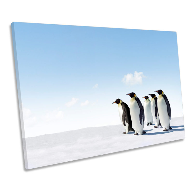 Penguins Wildlife - Wrapped Canvas Print, 40.6cm H x 61cm W x 2cm D