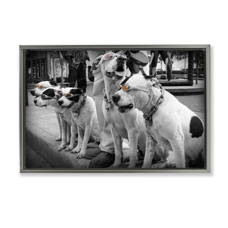 Cadre flottant Afprès Stroll Pups, design par Scott Henderson, Cadre flottant gris lustré, H 17 po x l 25 po