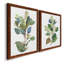 «Seeded Eucalyptus I», ensemble de 2 reproductions d'art sur toile-1047157793-1047157804
