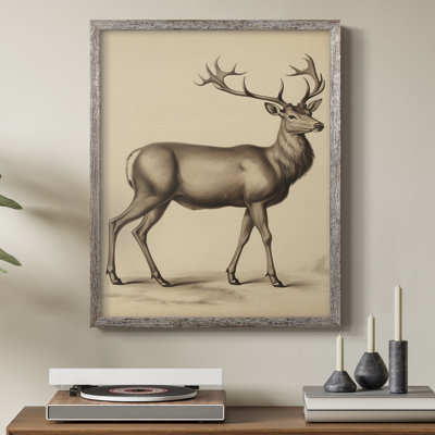 «Vintage Animal Print», reproduction encadrée en bois massif