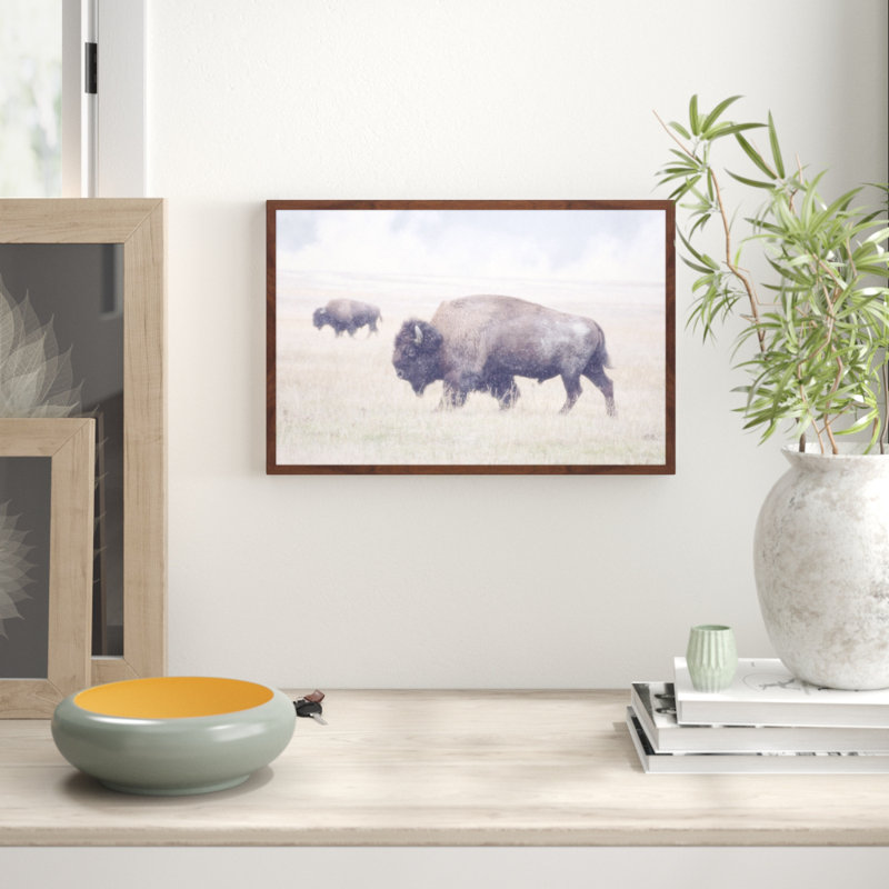 Parvez Taj - Single Picture Frame Print, 41cm H x 61cm W x 3.81cm D