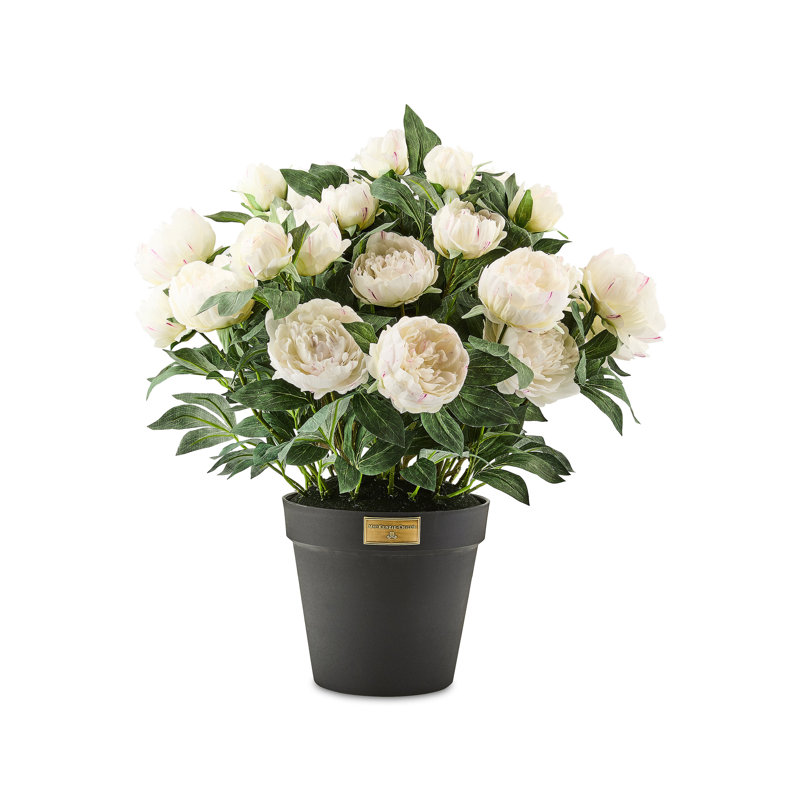 Peony Urn Filler, White