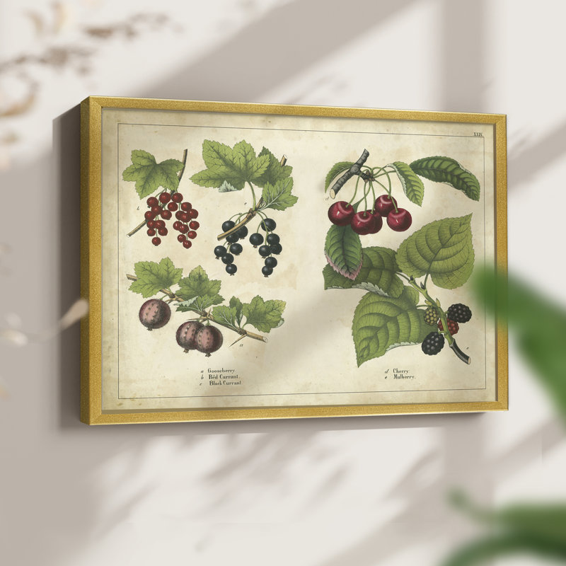 «Kitchen Fruits III», reproduction encadrée, H 11 po x l 14 po