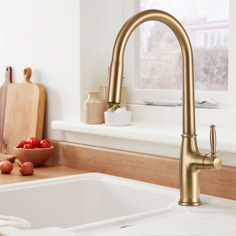 Dilon Pull Down Kitchen Faucet