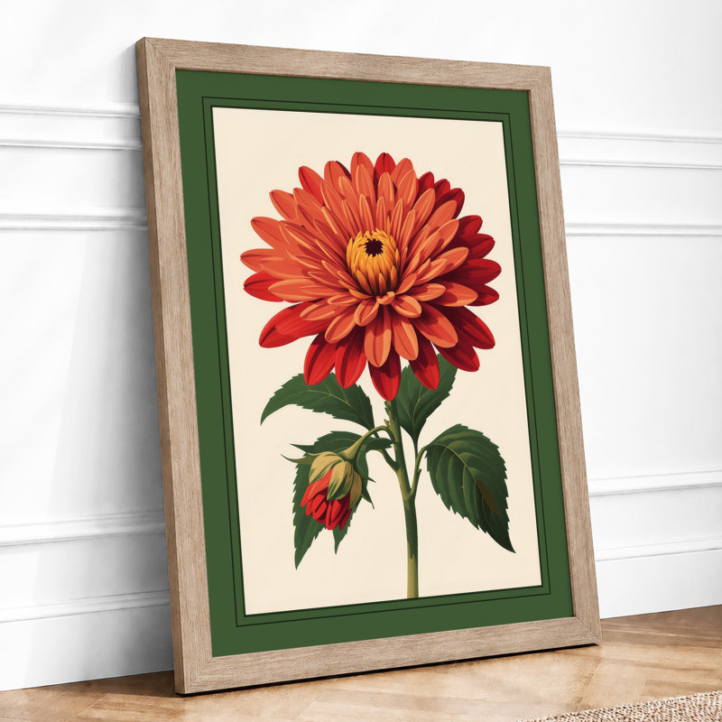 Red Dahlia Study Botanical - Print, Oak, A4 - 29.7 x 21.0 cm