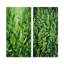 Herbs Tarragon Tales II - ensemble de 2 impressions sur toile Herbs-1962547009-1962547014