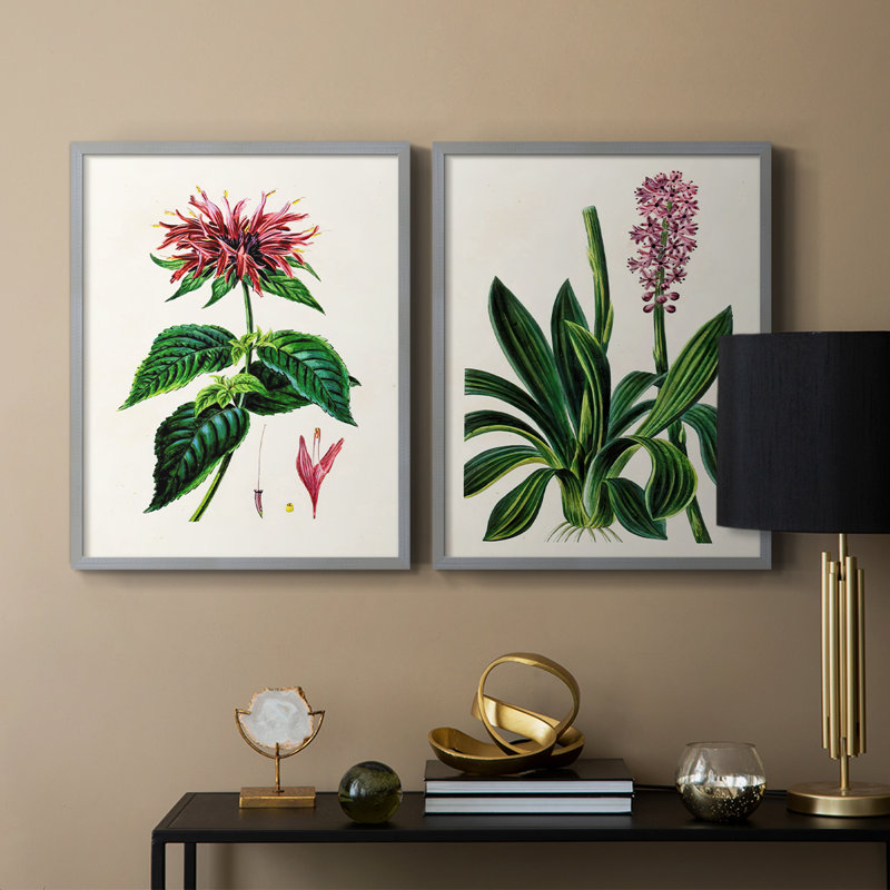 AntiqueFloralFolioI - reproduction encadrée de qualité supérieure - prête à être accrochée - aucun clou requis - aucun clou requis