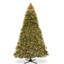 Sapin de Douglas Downswept avec lumières DEL bicolores-713046905