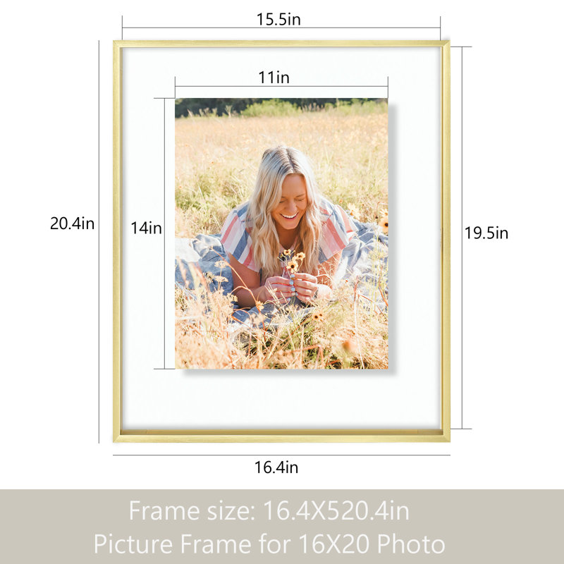 Cadre flottant Chevalier 16 x 20, photos de cadre en métal, échantillons de plantes ou de pétales pour affichage mural, Or
