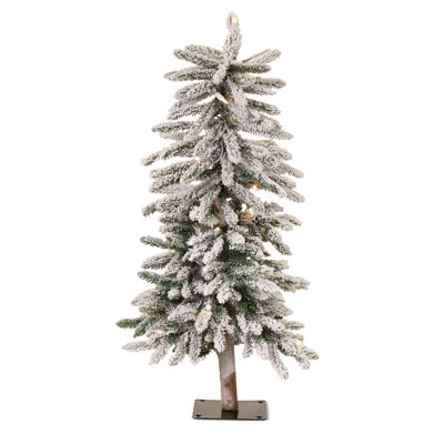 Lighted Cedar Christmas Tree
