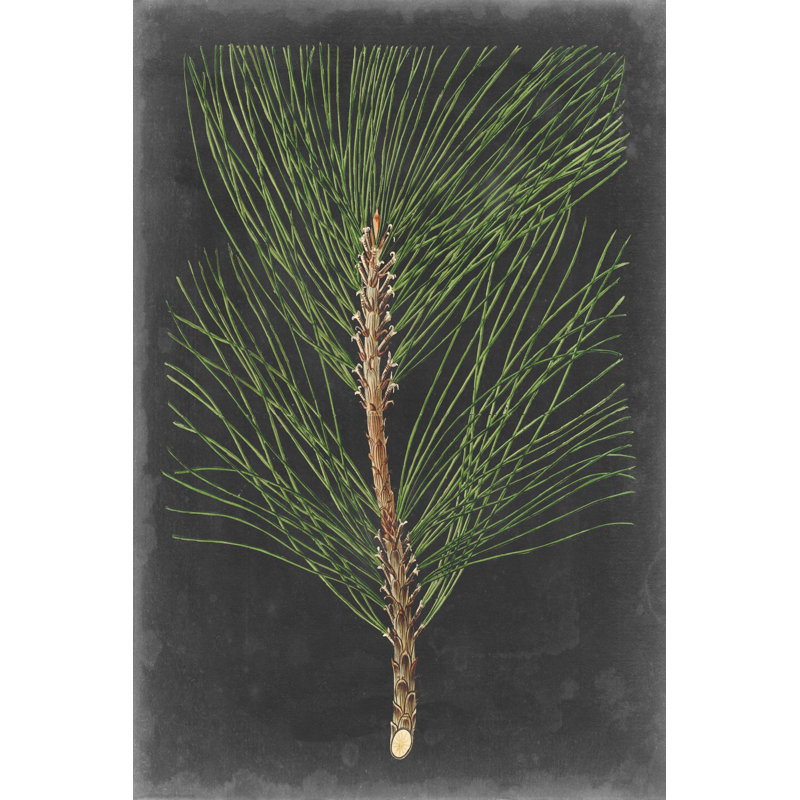 «Dramatic Pine I», peinture sur toile, H 36 po x l 24 po, Non, Toile encadrée noire