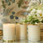 Sintra Scented Jar Candle with Glass Holder