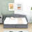 Sholto Twin Daybed with 2 Drawers and Slats-854840081