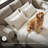 Gwendolynne Upholstered 92'' Sleeper Sofa-97832090