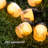 Dashonda Outdoor 12 - Bulb 4.72'' LED String Light-477390083