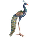 Decorative Peacock