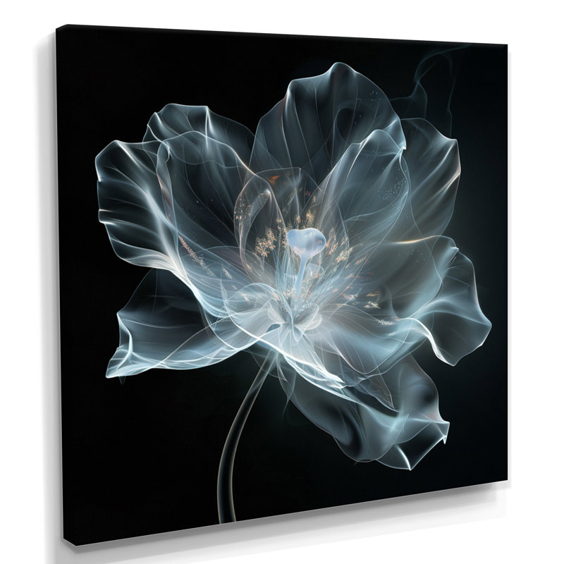 Anémone blanche transparente sur fond noir - autres plantes et fleurs, Toile tendue, H 36 po x l 36 po x P 1,5 po