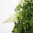 Artificial Buckler Fern and Grass Wreath-255513248