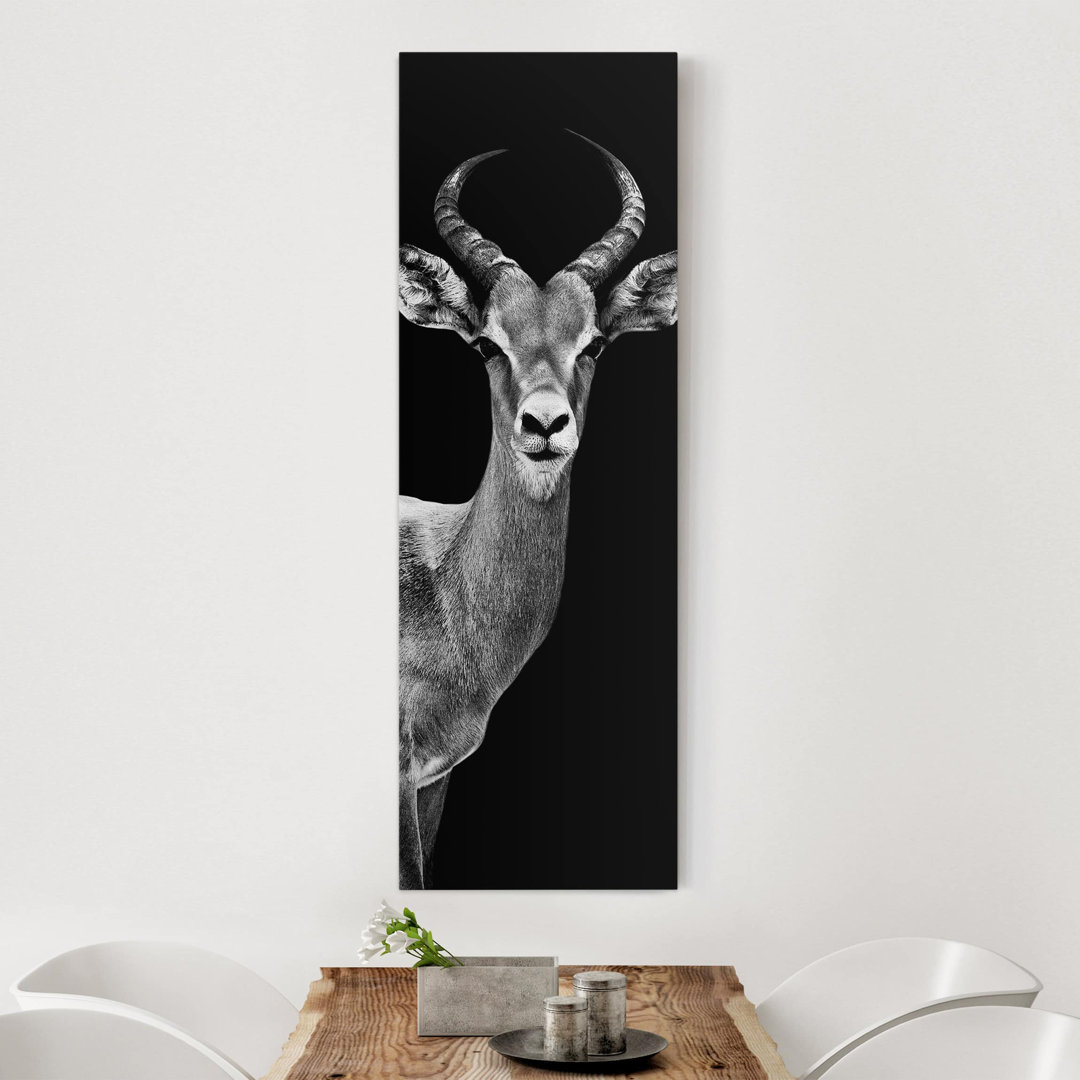 Leinwandbild Impala Antelope