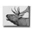 «Deer» par PhotoINC Studio-1011329292