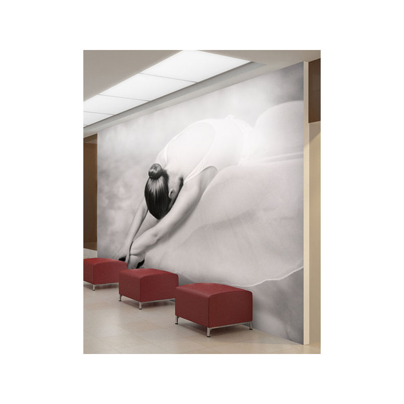 Ballet Dancer 270cm x 350cm Wallpaper, 231cm L x 300cm W